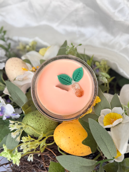 Grapefruit & Mint Wood Wick Candle